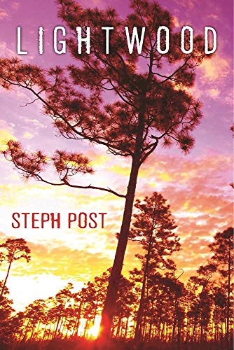 Lightwood (Judah Cannon, 1) von Polis Books
