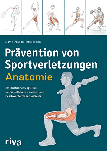 Prävention von Sportverletzungen – Anatomie: Ihr illustrierter Begleiter, um belastbarer zu werden und beschwerdefrei zu trainieren (Sportanatomie, Band 6) von RIVA