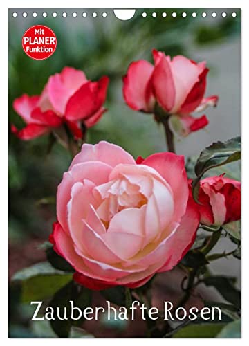 Zauberhafte Rosen (Wandkalender 2025 DIN A4 hoch), CALVENDO Monatskalender von CALVENDO