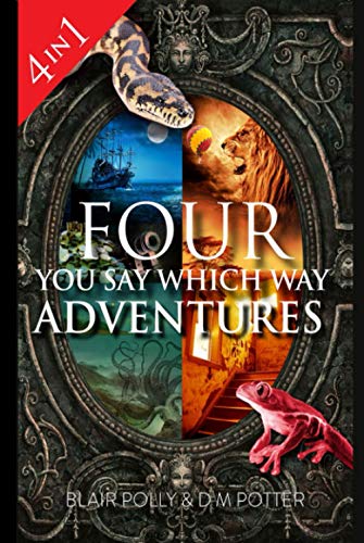 Four You Say Which Way Adventures: Pirate Island, In the Magician's House, Lost in Lion Country, Once Upon an Island (You Say Which Way Collections) von Independently published