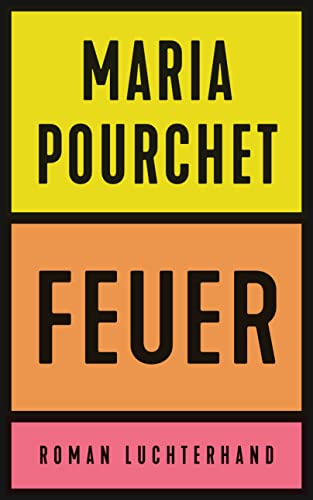 Feuer: Roman - Der Bestseller aus Frankreich - von Luchterhand Literaturverlag