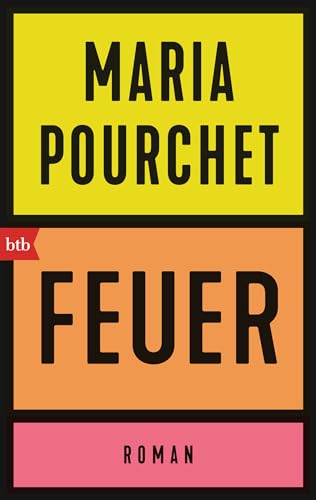 Feuer: Roman - »Ein Lesevergnügen.« Brigitte Woman