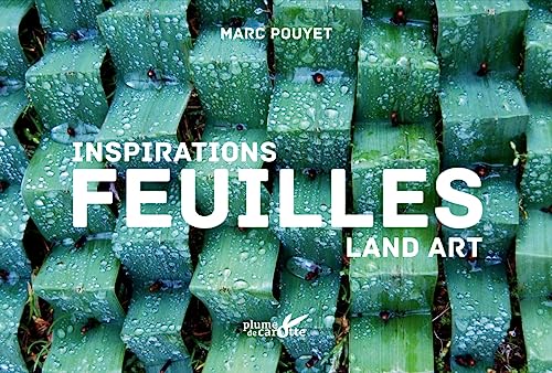 Inspiration land art, feuilles