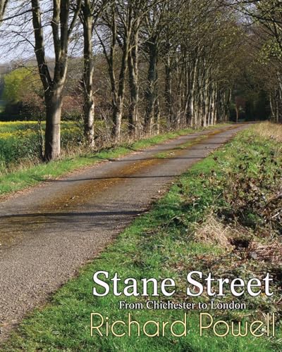 Stane Street: From Chichester to London von U P Publications