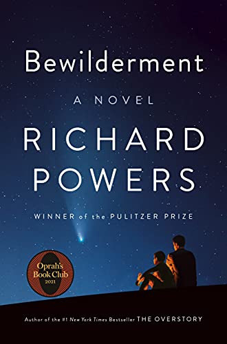 Bewilderment Bewilderment