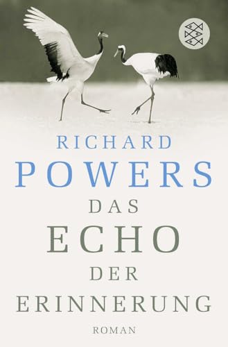 Das Echo der Erinnerung: Roman