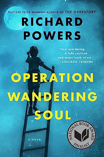 OPERATION WANDERING SOUL: A Novel