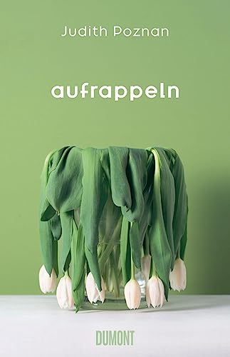 Aufrappeln: Roman