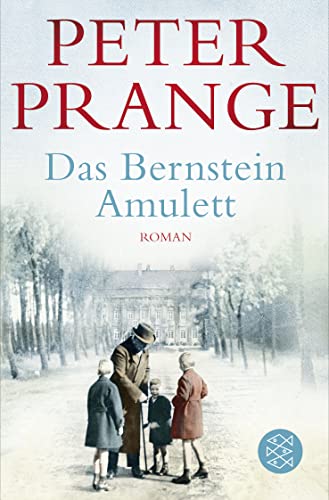 Das Bernstein-Amulett: Roman von FISCHERVERLAGE
