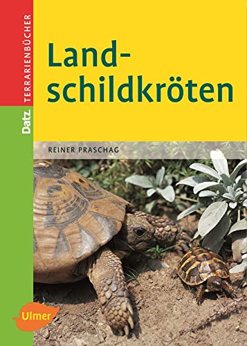 Landschildkröten (Datz Terrarienbücher)