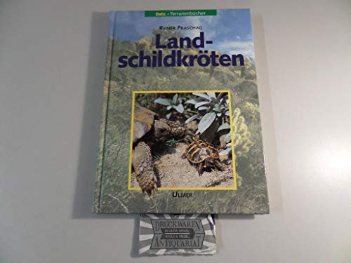 Landschildkröten