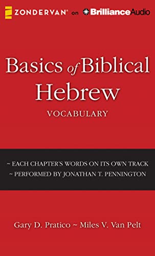 Basics of Biblical Hebrew Vocabulary von BRILLIANCE CORP