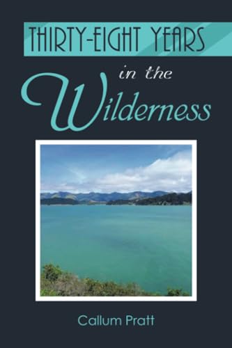 Thirty-eight Years in the Wilderness von Xlibris NZ