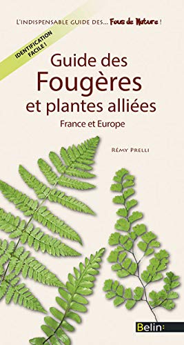 Guide des fougères et plantes alliées: France et Europe von Belin