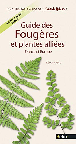 Guide des Fougeres et Plantes Alliees de France et d'Europe: France et Europe
