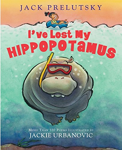 I've Lost My Hippopotamus von Greenwillow Books