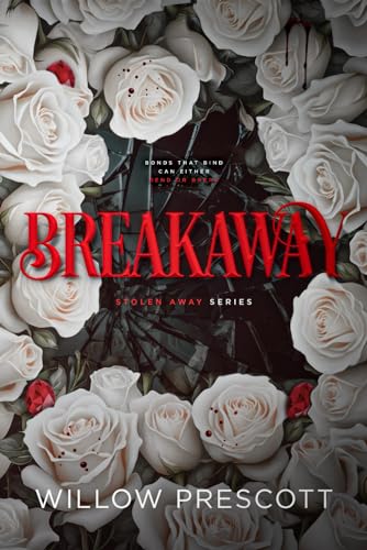 Breakaway (Stolen Away Series, Band 2)