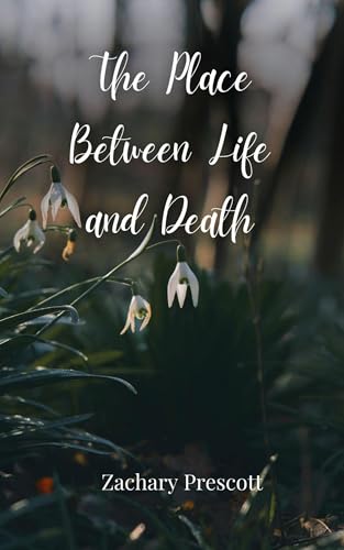 The Place Between Life and Death von Creative Arts Management OÜ