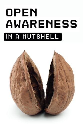 Open Awareness in a Nutshell: A Practical Guide to Expanding Your Consciousness and Living a More Present Life von Independently published