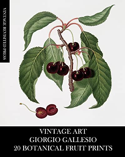 Vintage Art: Giorgio Gallesio 20 Botanical Fruit Prints