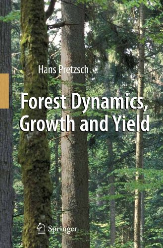 Forest Dynamics, Growth and Yield: From Measurement to Model von Springer