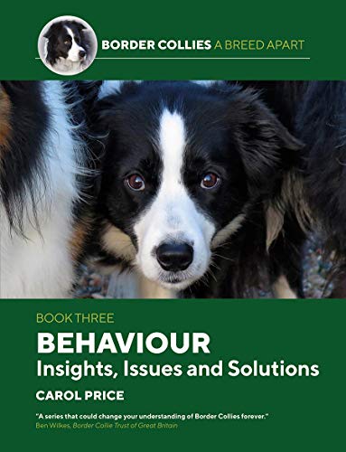 Behaviour: INsights, Issues and Solutions (Border Collies: A Breed Apart, Band 3) von First Stone Publishing