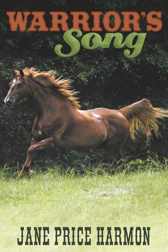 Warrior's Song von Bookbaby