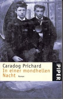 In einer mondhellen Nacht: Roman (Piper Taschenbuch) von Piper