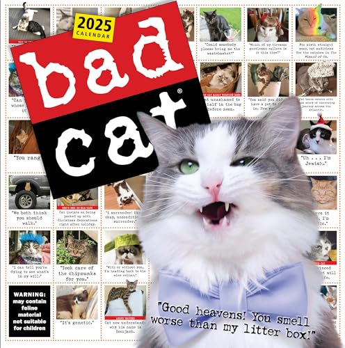 Bad Cat Wall Calendar 2025: Celebrating the Misfits of the Feline World von Workman Publishing