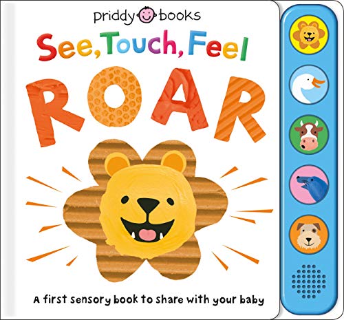 See, Touch, Feel: Roar: A First Sensory Book See, Touch, Feel: Roar: A First Sensory Book
