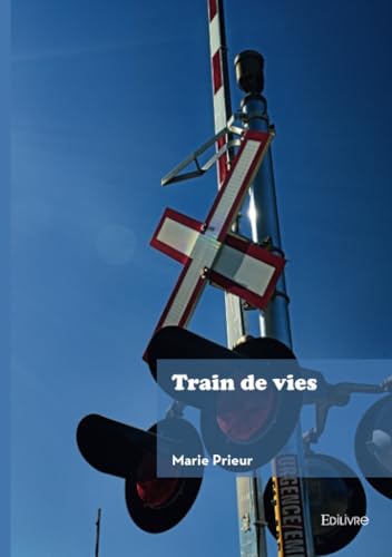 Train de vies von EDILIVRE