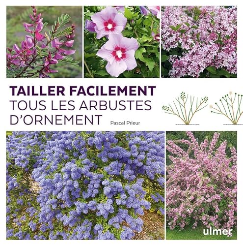 Tailler facilement tous les arbustes d'ornement Tailler facilement tous les arbustes d'ornement