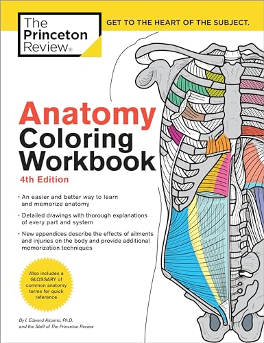 Anatomy Coloring Workbook, 4th Edition: An Easier and Better Way to Learn Anatomy (Coloring Workbooks) von Princeton Review