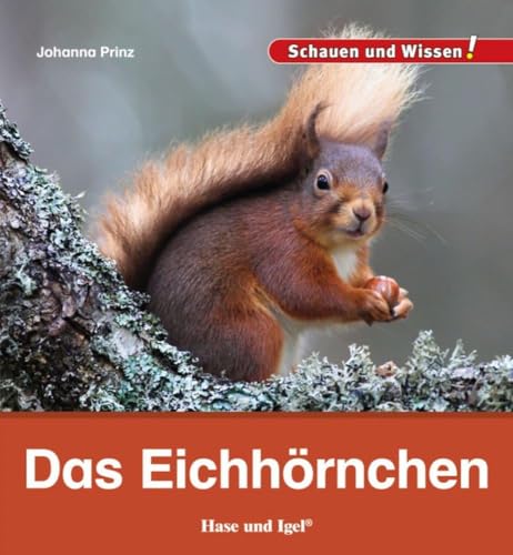 Das Eichhörnchen: Schauen und Wissen!