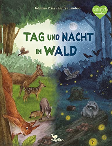 Tag und Nacht im Wald von Magellan