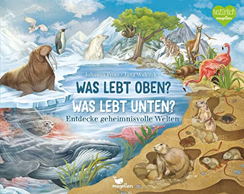 Was lebt oben? Was lebt unten?: Entdecke geheimnisvolle Welten von Magellan