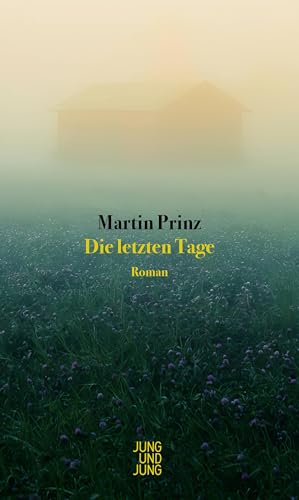 Die letzten Tage: Roman von Jung u. Jung