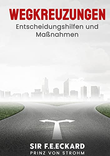 Wegkreuzungen: Entscheidungshilfen und Maßnahmen von Books on Demand GmbH