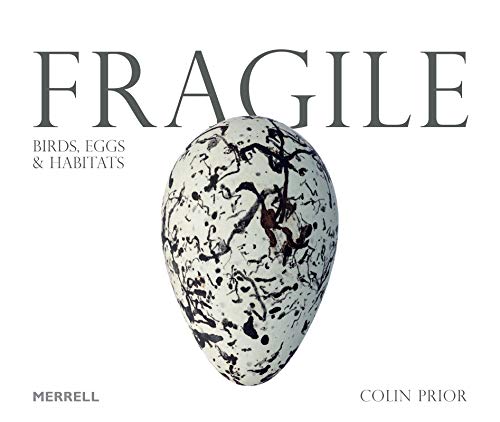 Fragile: Birds, Eggs and Habitats von Merrell