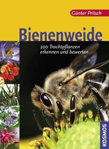 Bienenweide Bienenweide