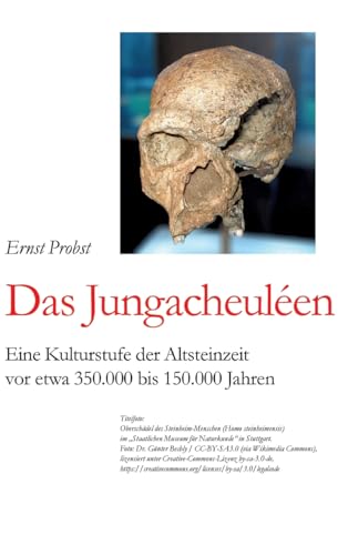 Das Jungacheuléen: Eine Kulturstufe der Altsteinzeit vor etwa 350.000 bis 150.000 Jahren Das Jungacheuléen: Eine Kulturstufe der Altsteinzeit vor etwa 350.000 bis 150.000 Jahren von tredition
