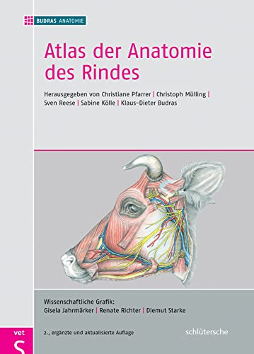 Atlas der Anatomie des Rindes: Inklusive Supplement Atlas der Anatomie des Rindes: Inklusive Supplement von Schlütersche