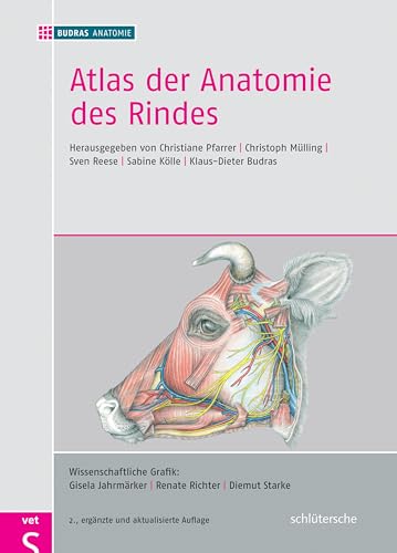 Atlas der Anatomie des Rindes: Inklusive Supplement