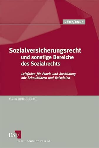 Sozialversicherungsrecht und sonstige Bereiche des Sozialrechts: Leitfaden für Praxis und Ausbildung mit Schaubildern und Beispielen von Schmidt, Erich