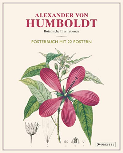 Alexander von Humboldt: Botanische Illustrationen. Posterbuch mit 22 Postern von Prestel