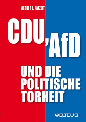 CDU, AfD und die politische Torheit.