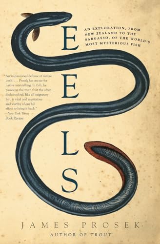Eels: An Exploration, from New Zealand to the Sargasso, of the World's Most Mysterious Fish von Harper Perennial