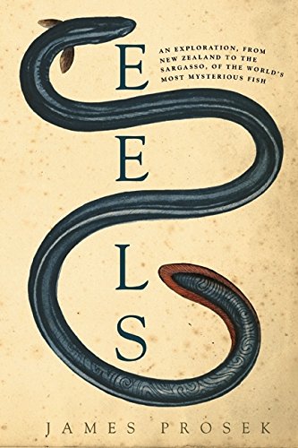 Eels: An Exploration, from New Zealand to the Sargasso, of the World's Most Mysterious Fish von Harper
