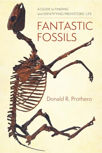 Fantastic Fossils: A Guide to Finding and Identifying Prehistoric Life von Columbia University Press