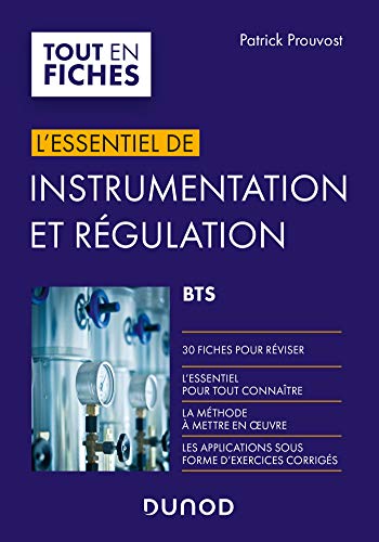 Instrumentation et régulation BTS - En 30 fiches: En 30 fiches von DUNOD